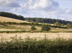Landscape Landscape